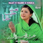 Hina Nasrullah Songs MP3 Download